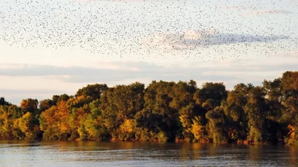 تأبين نهر ميت في أوروبا!