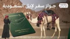 الإبل السعودية تحمل جوازات سفر وفق رؤية 2030