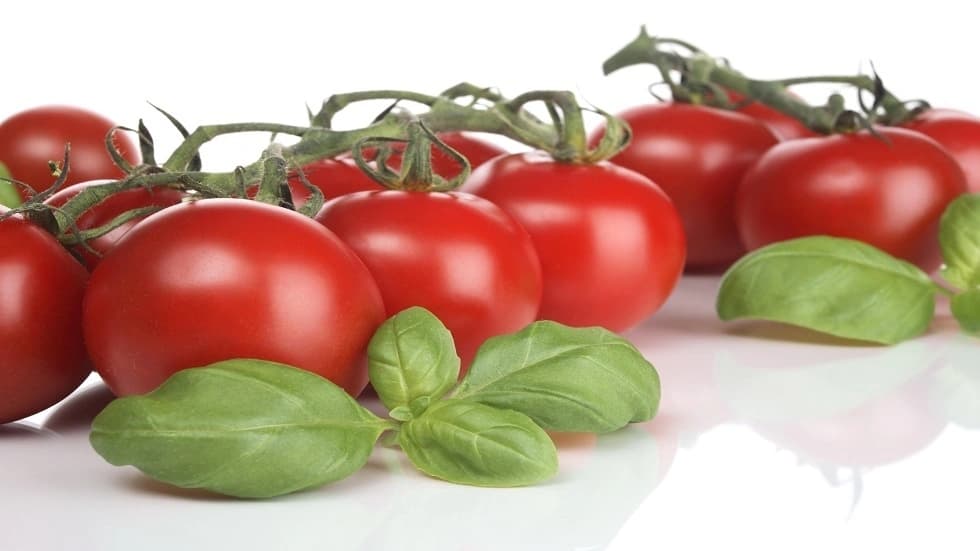 الحد الآمن لتناول الطماطم وفوائدها القلبية