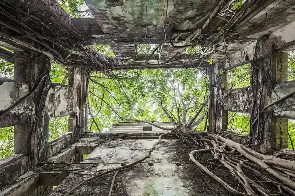 مصور يوثق مشاهد مهيبة لمواقع مهجورة تستولي عليها الطبيعة